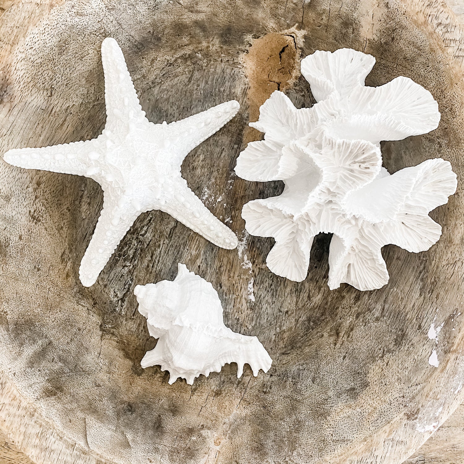 White Resin Starfish Decoration