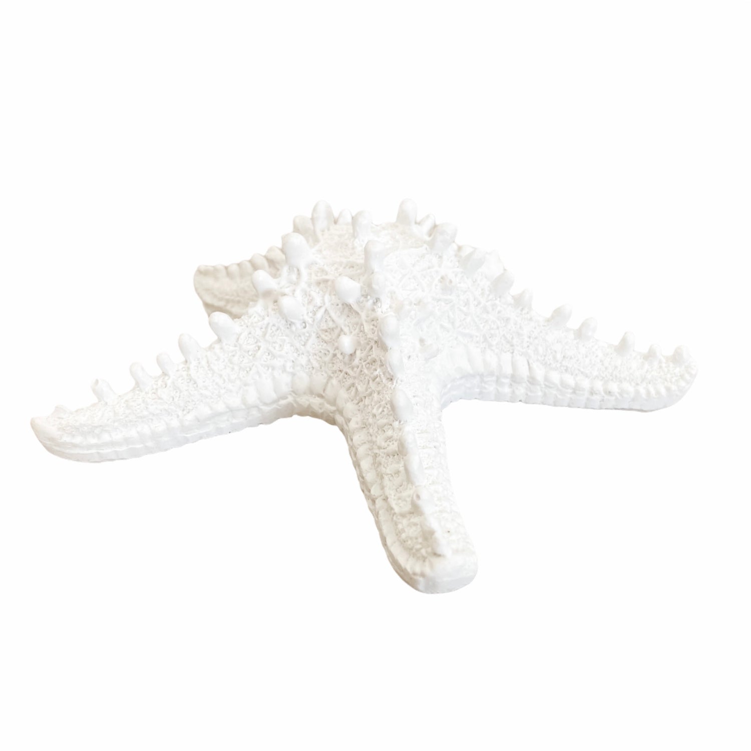 Resin Starfish
