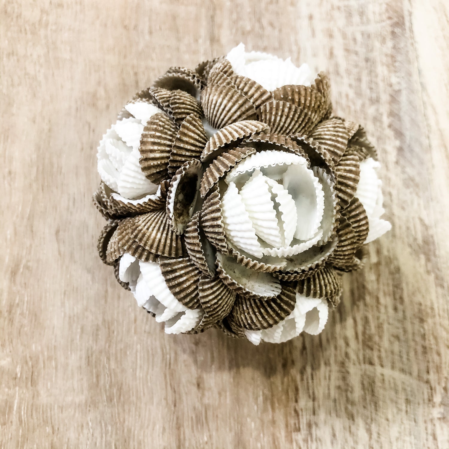 White and Brown Shell Ball Decoration