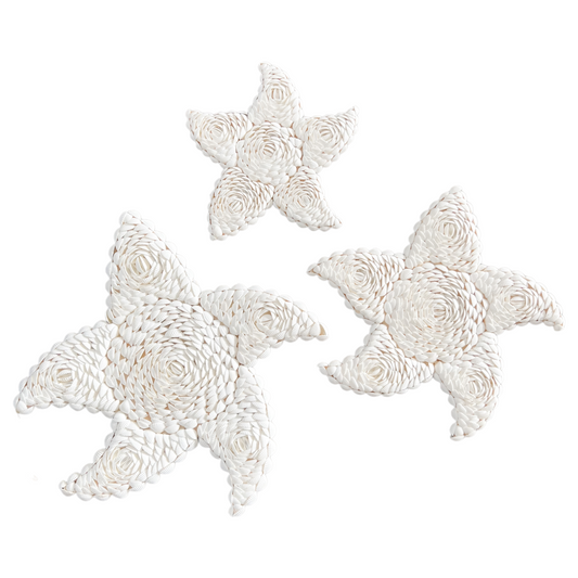 Sea Star Shell Wall Hangings | 3 Assorted Sizes