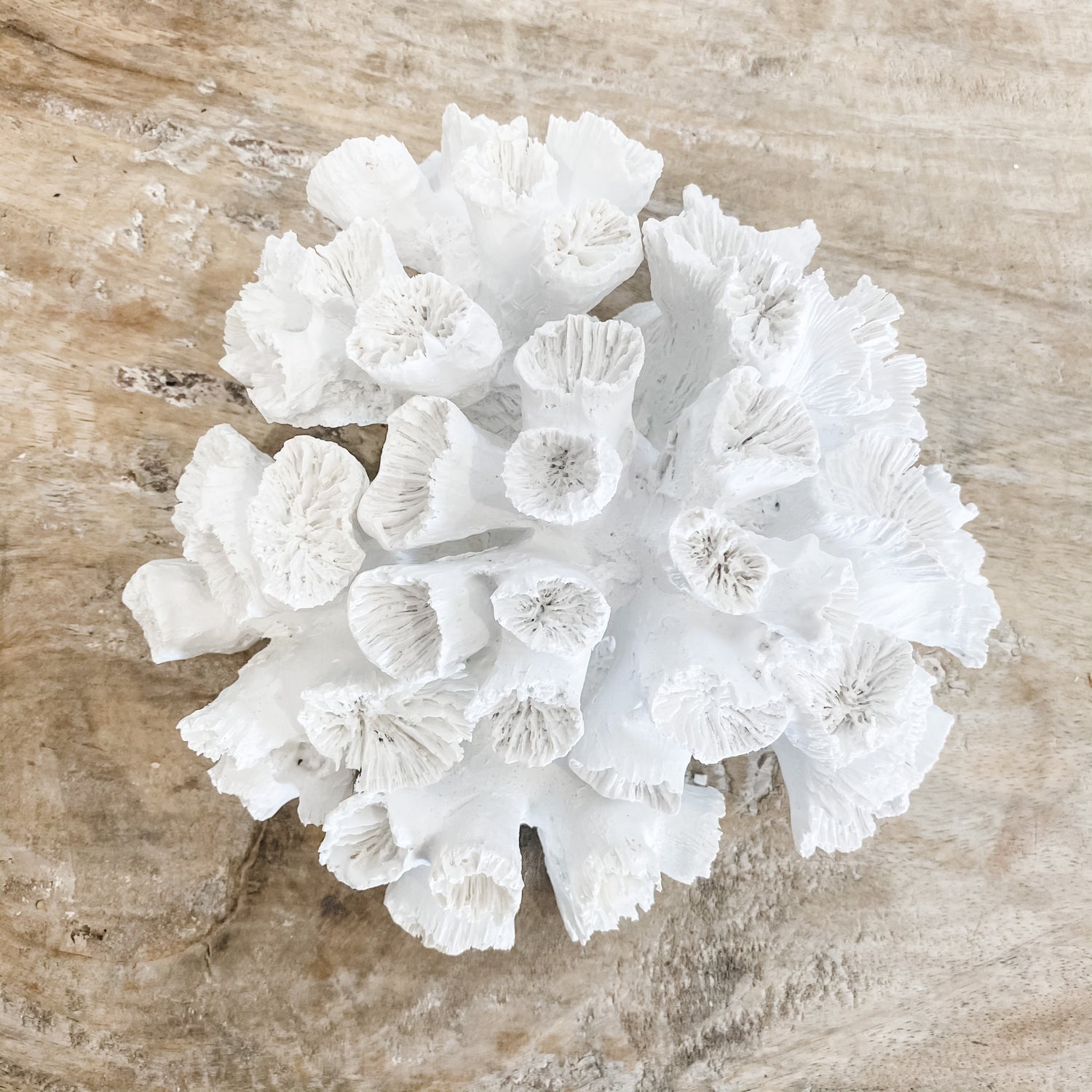 Anemone Resin Coral Decoration