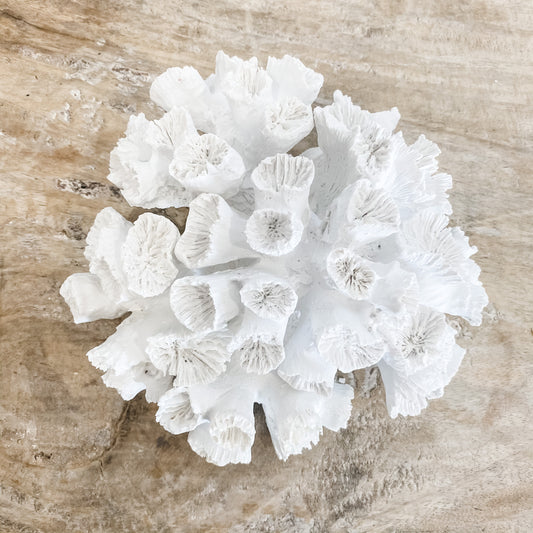Anemone Resin Coral Decoration