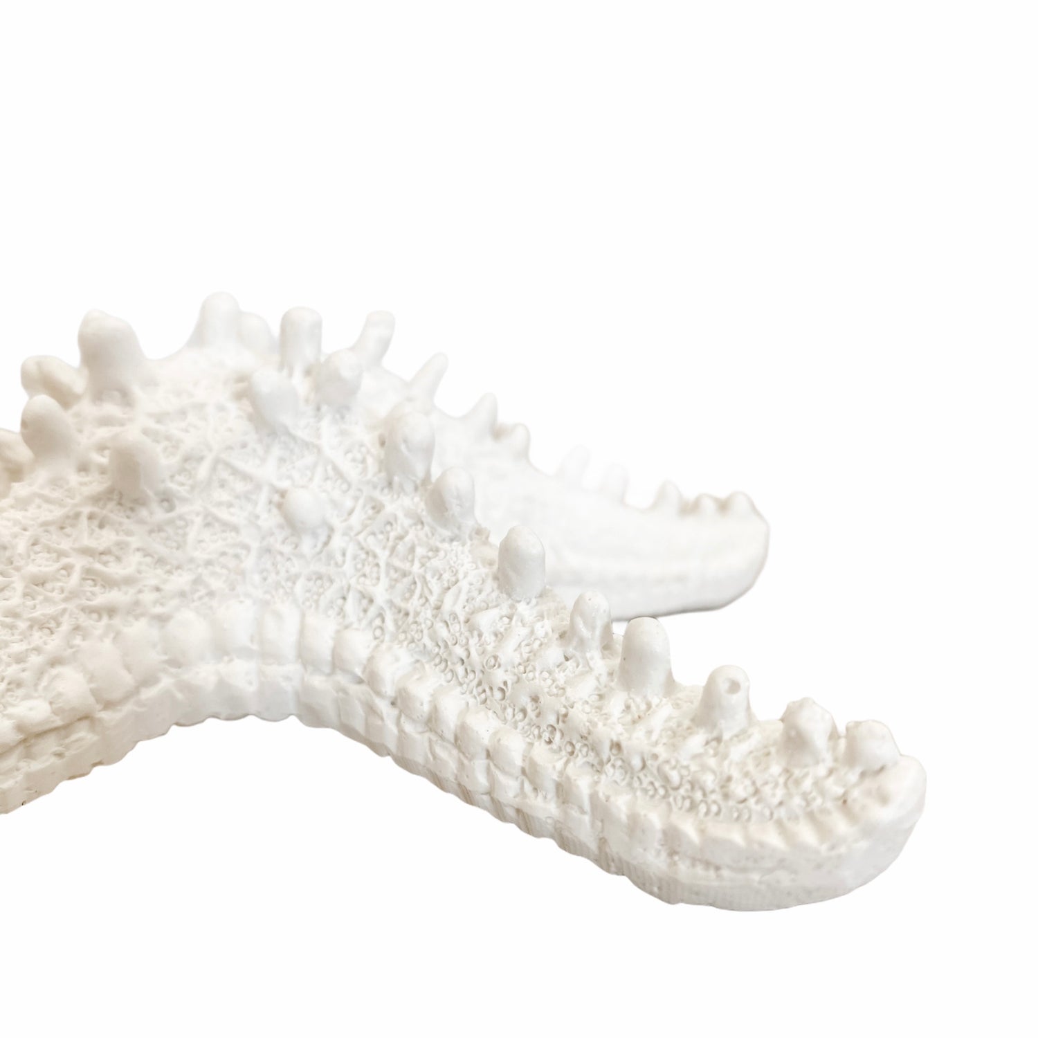 White Resin Starfish