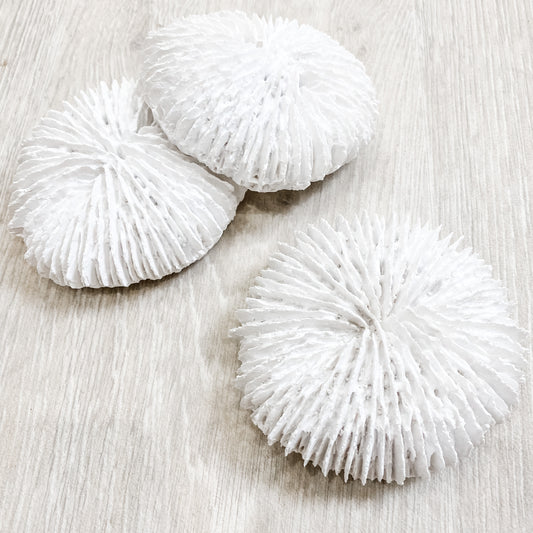 Fungia Resin Coral Coastal Decor