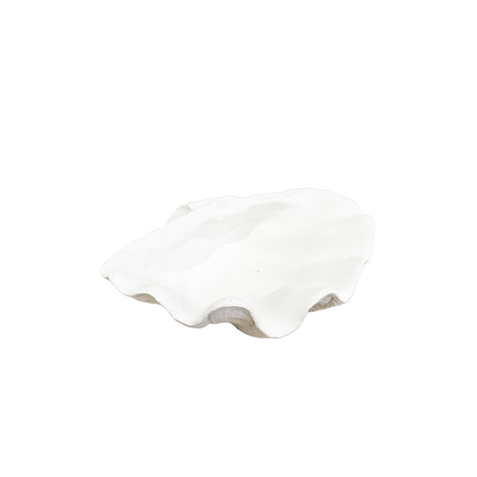 Clam Shell | White | Small