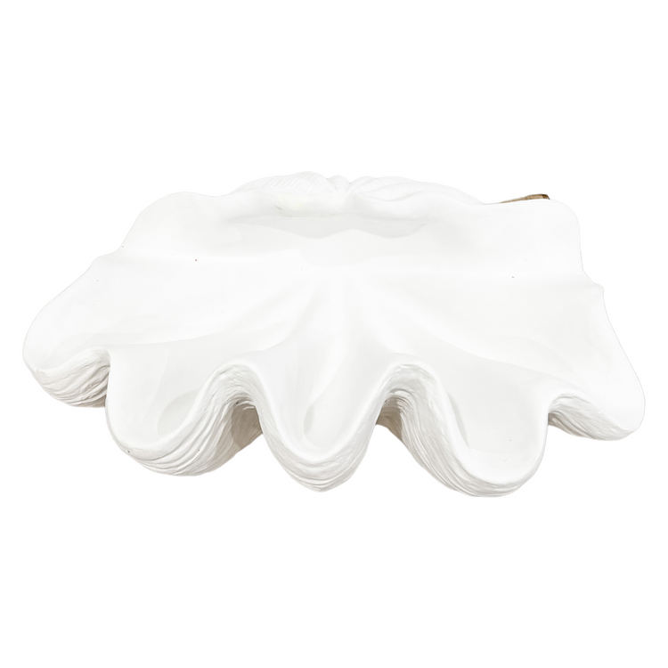 Clam Shell | White | Large
