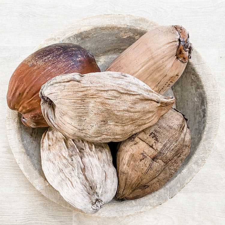 Sunbleached Coconut Homewares