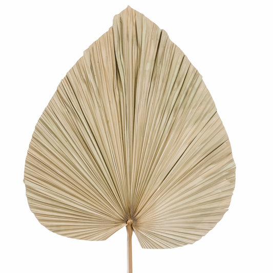 Dried Spade Shape Palm Leaf Stem