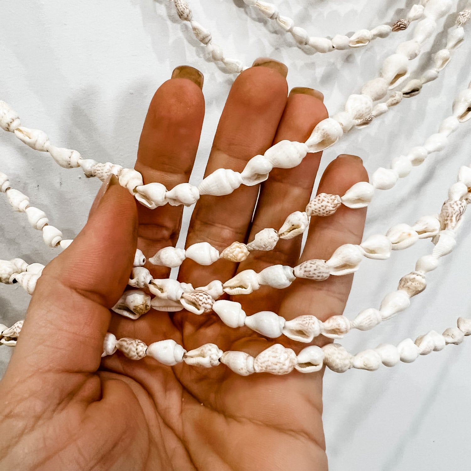 Waterfall Shell Wall Hanging | Conch Shell | PREORDER