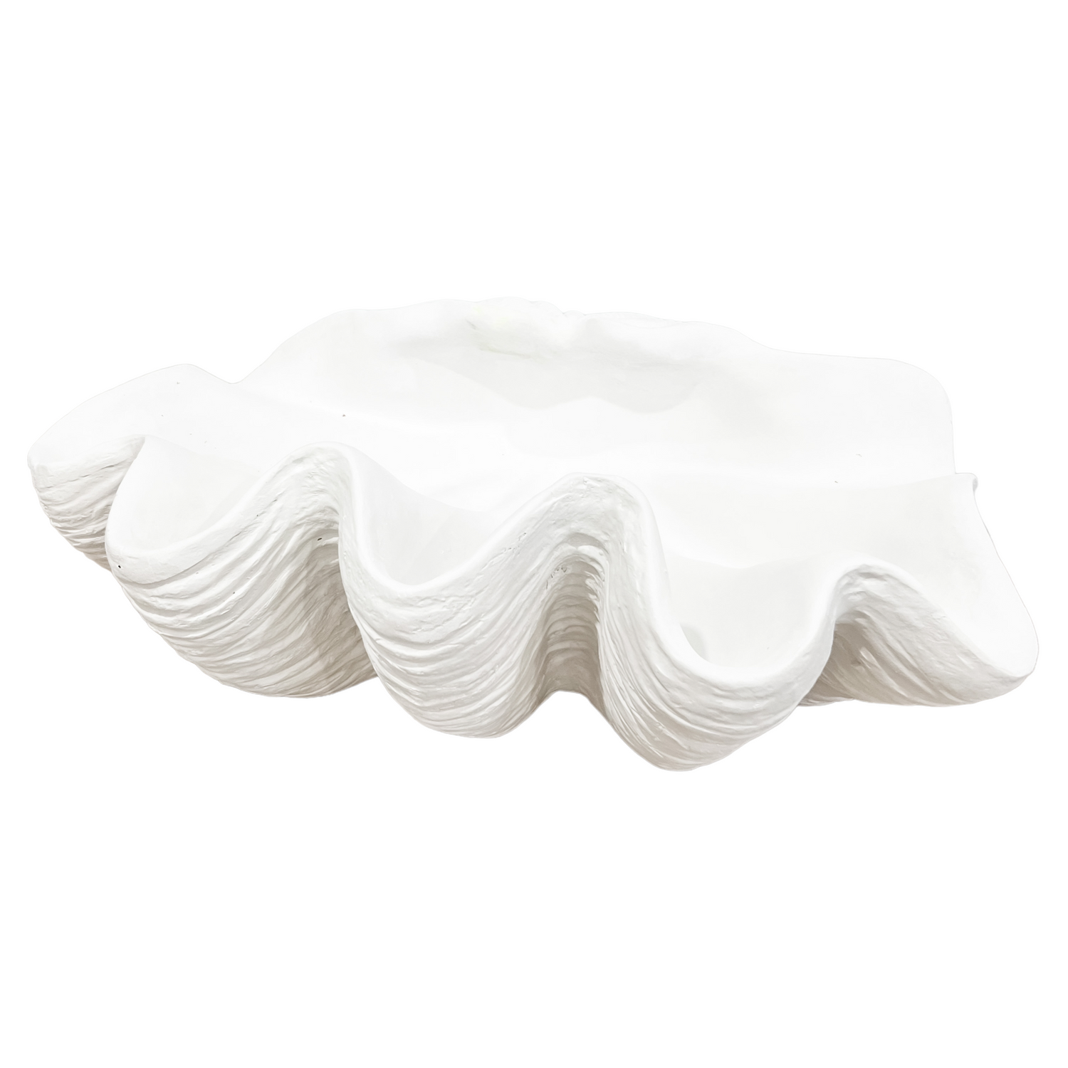 Clam Shell | White | Large Preorder