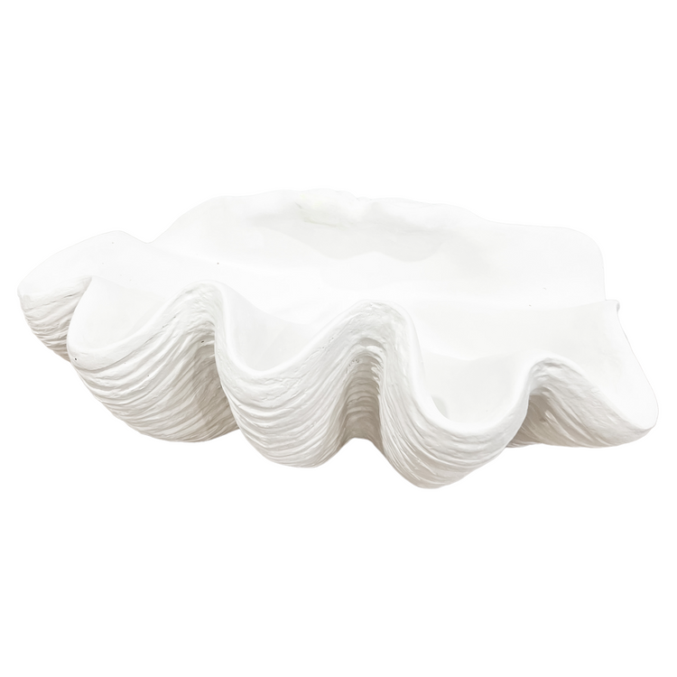 Clam Shell | White | Large