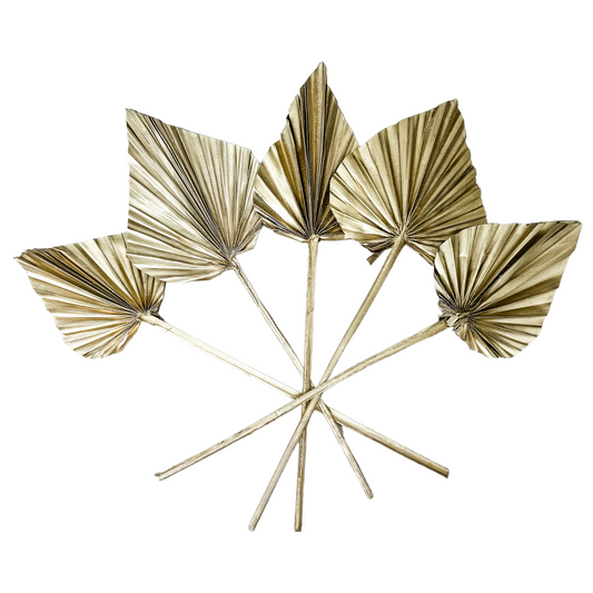 Spade Palm | Dried | Gold | Set of 5