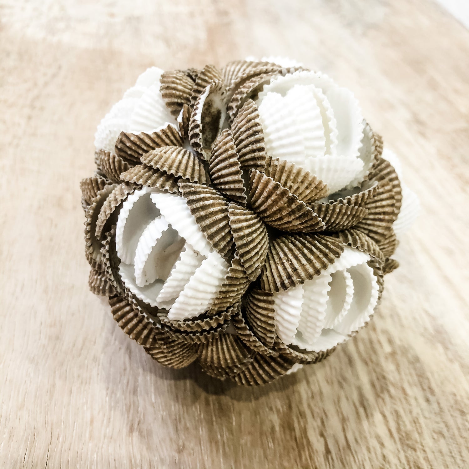 White and Brown Shell Ball Boho Decor