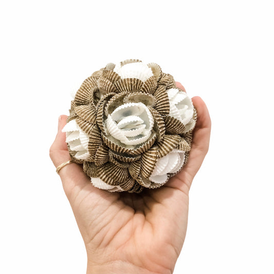 White and Brown Shell Ball