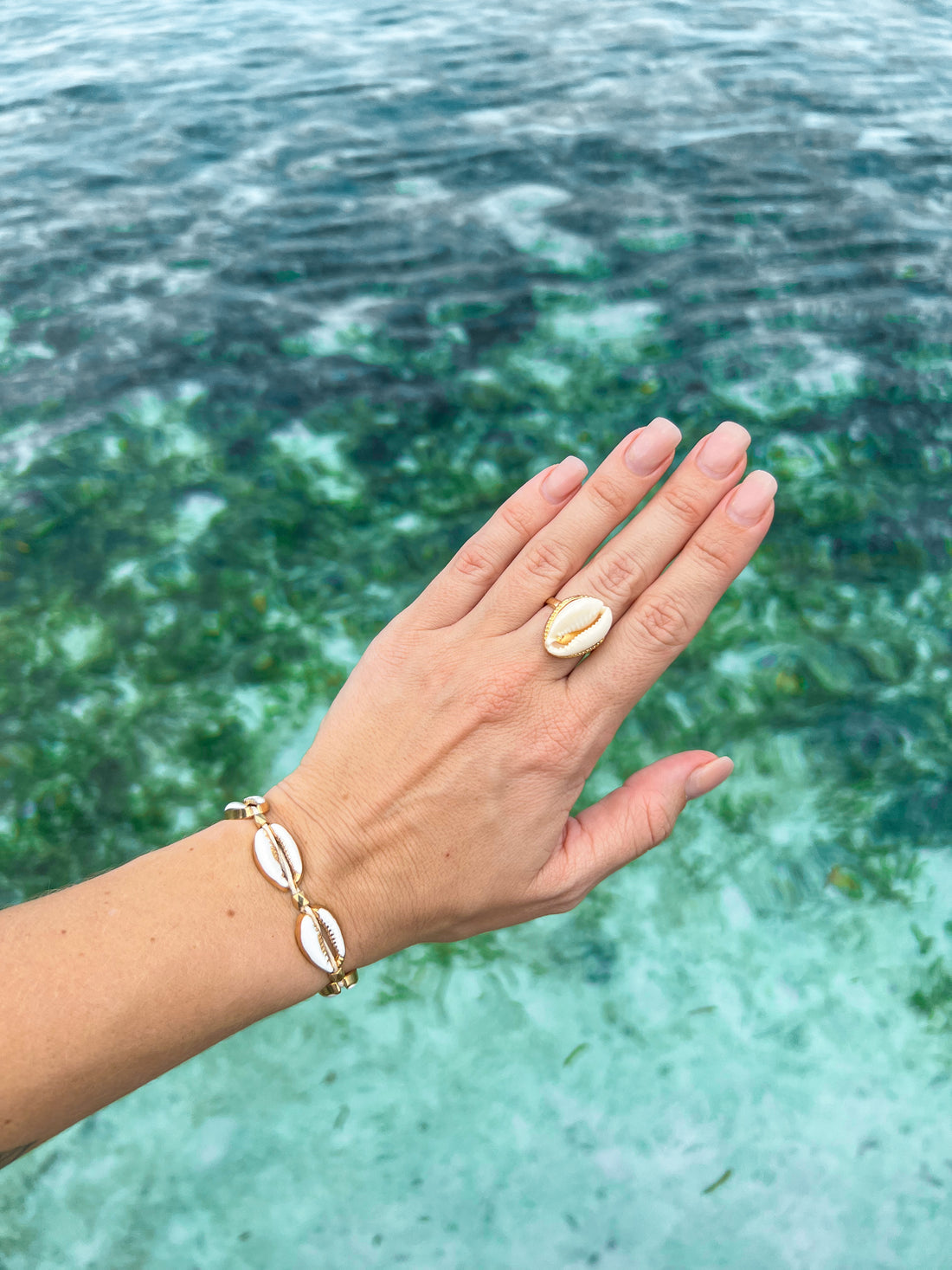 Tropics Cowrie Shell Ring | Gold | Willow & the Waves Collection