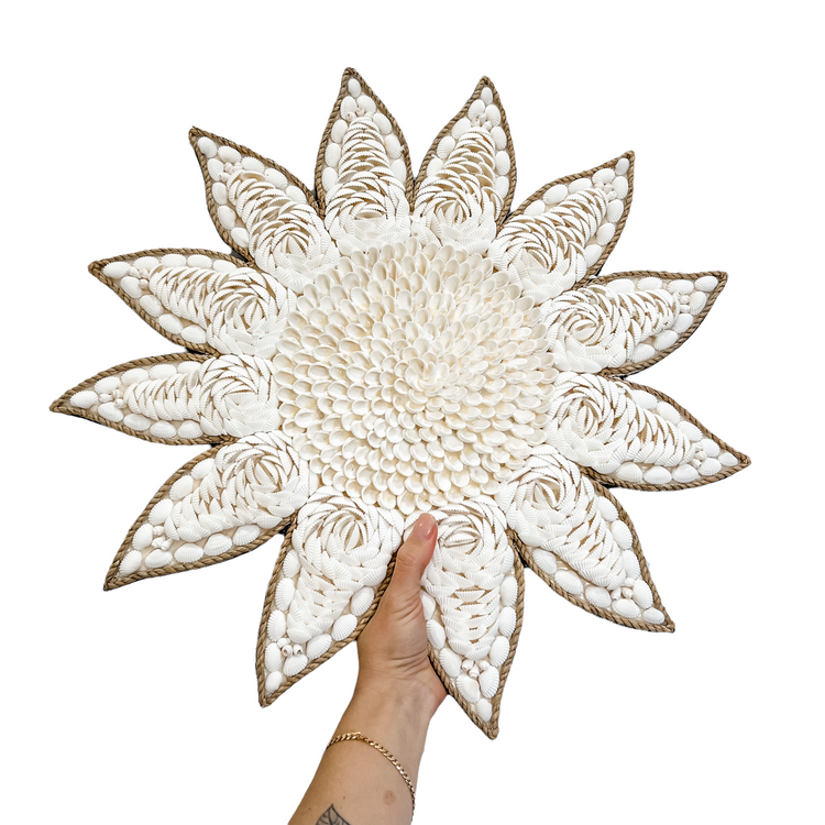 Nexus Sun Shell Wall Hangings | 3 Assorted Sizes