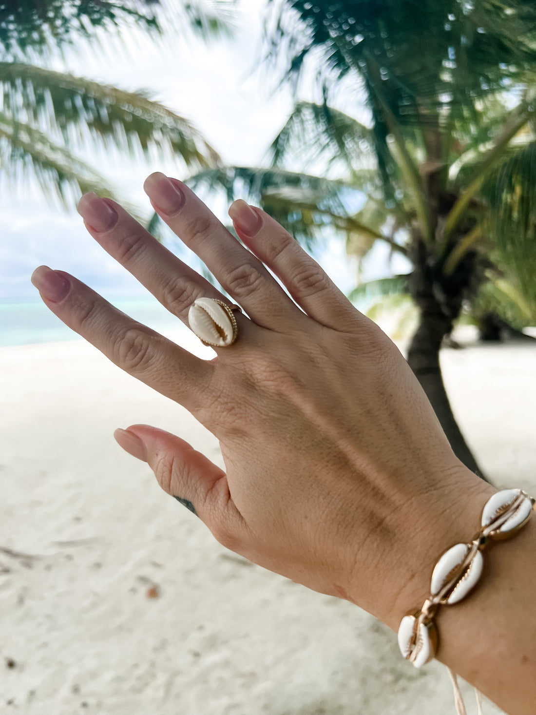 Tropics Cowrie Shell Ring | Gold | Willow & the Waves Collection